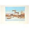 Image 7 : Huge lot of 32 numbered waterfowl stamp  prints by famous artists including David  Maas, Tom Hirata,