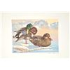 Image 8 : Huge lot of 32 numbered waterfowl stamp  prints by famous artists including David  Maas, Tom Hirata,