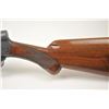 Image 14 : Browning Auto 5 semi-automatic shotgun, 12  gauge, Serial #429288.  The shotgun is in  excellent ove