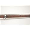 Image 8 : Springfield Model 1855 rifled musket with a  Maynard type primer style device dated 1858.   Iron mou
