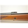 Image 24 : Custom Ruger M77 bolt action rifle, .460 Van  Horn caliber, Serial #73-53923.  The rifle is  in fine