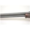 Image 8 : Colt Lightning pump rifle, .44-40 caliber,  Serial #15660.  The rifle is in nearly fine  overall con
