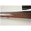 Image 15 : Colt Sauer bolt action sporting rifle, .25-06  caliber, Serial #CR7054.  The rifle is in  nearly exc