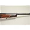 Image 7 : Colt Sauer bolt action sporting rifle, .25-06  caliber, Serial #CR7054.  The rifle is in  nearly exc