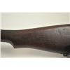 Image 14 : U.S. Model of 1917 Winchester bolt action  rifle, .30-06 caliber, Serial #125824.  The  rifle is in 