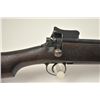 Image 3 : U.S. Model of 1917 Winchester bolt action  rifle, .30-06 caliber, Serial #125824.  The  rifle is in 