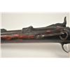 Image 11 : .S. Model 1884 Trapdoor Springfield carbine  in .45-70 caliber, Serial #379767 showing  mottled Indi