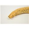 Image 10 : 18th century carved ivory powder flask  attributed to Deop.  The flask measures 10 ½”  overall, magn