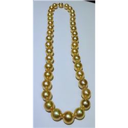 Absolutely Gorgeous Strand of Natural Golden South Sea Pearls averaging 10.00 MM -13.00 MM in diam