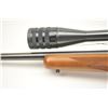 Image 10 : Ruger No.1 single shot rifle, .300 Weatherby  Magnum caliber, Serial #133-02624.  The  rifle is in