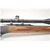 Image 19 : Ruger No.1 single shot rifle, .300 Weatherby  Magnum caliber, Serial #133-02624.  The  rifle is in