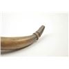 Image 2 : A large American tack decorated powder horn.  19th century. Measures 13 ½” overall. Finely  turned w