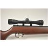 Image 10 : Lot of two air rifles.  The lot includes:  a  Daisy Model 880 pump BB air rifle with a 21”  barrel i