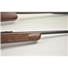 Image 6 : Lot of two air rifles.  The lot includes:  a  Daisy Model 880 pump BB air rifle with a 21”  barrel i