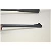 Image 7 : Lot of two air rifles.  The lot includes:  a  Daisy Model 880 pump BB air rifle with a 21”  barrel i