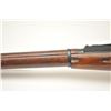 Image 18 : Mosin–Nagant Model 1891/30 bolt action rifle,  7.62 x 54R caliber, Serial #3946.  The rifle  is in v