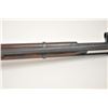 Image 9 : Mosin–Nagant Model 1891/30 bolt action rifle,  7.62 x 54R caliber, Serial #3946.  The rifle  is in v