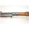 Image 21 : German Model K98 Mauser bolt action rifle,  7.62 mm caliber, Serial #8239.  The rifle is  in very go