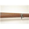 Image 8 : Schmidt-Rubin Model 1889 straight pull rifle,  7.5 Swiss caliber, Serial #343997.  The  rifle is in 