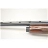 Image 7 : Remington Model 1100 semi-automatic shotgun,  12 gauge, Serial #P181412V.  The shotgun is  in fine o