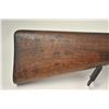 Image 18 : German Gewehr 88 bolt action rifle, 8mm  caliber, Serial #5869.  The rifle is in good  overall condi
