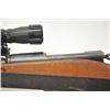 Image 18 : Schmidt Rubin Model K-31 straight pull rifle,  7.5 x 55 caliber, Serial #971008.  The rifle  is in v