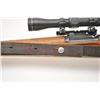 Image 20 : Schmidt Rubin Model K-31 straight pull rifle,  7.5 x 55 caliber, Serial #971008.  The rifle  is in v