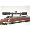 Image 16 : Mauser Model K98 bolt action rifle, 8 x 57  caliber, Serial #6887u.  The rifle is in very  good over