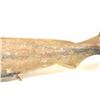 Image 3 : US M1 Garand semi-automatic rifle by  Harrington & Richardson, .30 caliber, Serial  #4740217.  The r