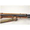 Image 6 : Polish Mosin-Nagant Model M-44 bolt action  rifle, 7.62 x 54R caliber, Serial #BR17411.   The rifle