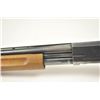 Image 5 : Coast to Coast Model 367H 12 Ga. Pump  shotgun, #A230673, 28” vent rib barrel  chambered for 3” shel