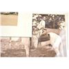 Image 5 : Lot of beautiful matted black and white  photographs of cowboys and western scenes  including;  101 