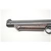 Image 13 : Lot of two Crosman pump air pistols.  The lot  includes a Crosman Model 1300 Medalist .22  pump air 