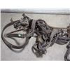 Image 4 : Vintage Harness