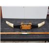 Image 5 : Set of Horns Mounted 29" Spread