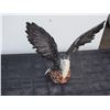 Image 2 : Eagle Figurine by Busy Bee Ceramics 16" Spread