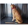 Image 4 : Big Dog Figurine 21 by 24.5" T