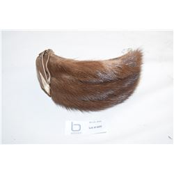 Muskrat Fur Head Piece with Satin Trim