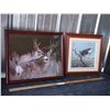 Image 1 : 2 Wildlife Pictures in Frames
