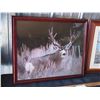 Image 2 : 2 Wildlife Pictures in Frames