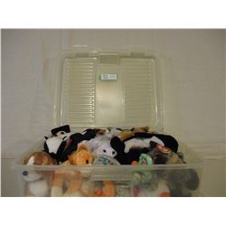 Plastic Container of Beanie Babies