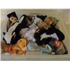 Image 2 : Plastic Container of Beanie Babies
