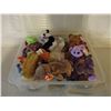 Image 2 : Plastic Container of Beanie Babies