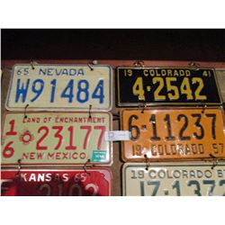 10 Assorted USA License Plates