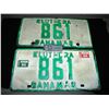 Image 1 : 1985 Bahamas Pair of License Plates