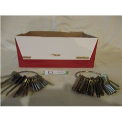 Large Quantity of Auto Keys and Key Chains