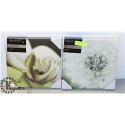 TWO NEW STRETCHED CANVAS CLOSE UP FLOWER