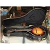 Image 1 : MANDOLIN IN CASE UNUSED