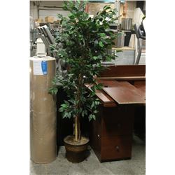 5.5FT  TALL SILK PLANT