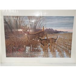 "FIND A REFUGE" LTD ED PRINT #2042/6327 BY